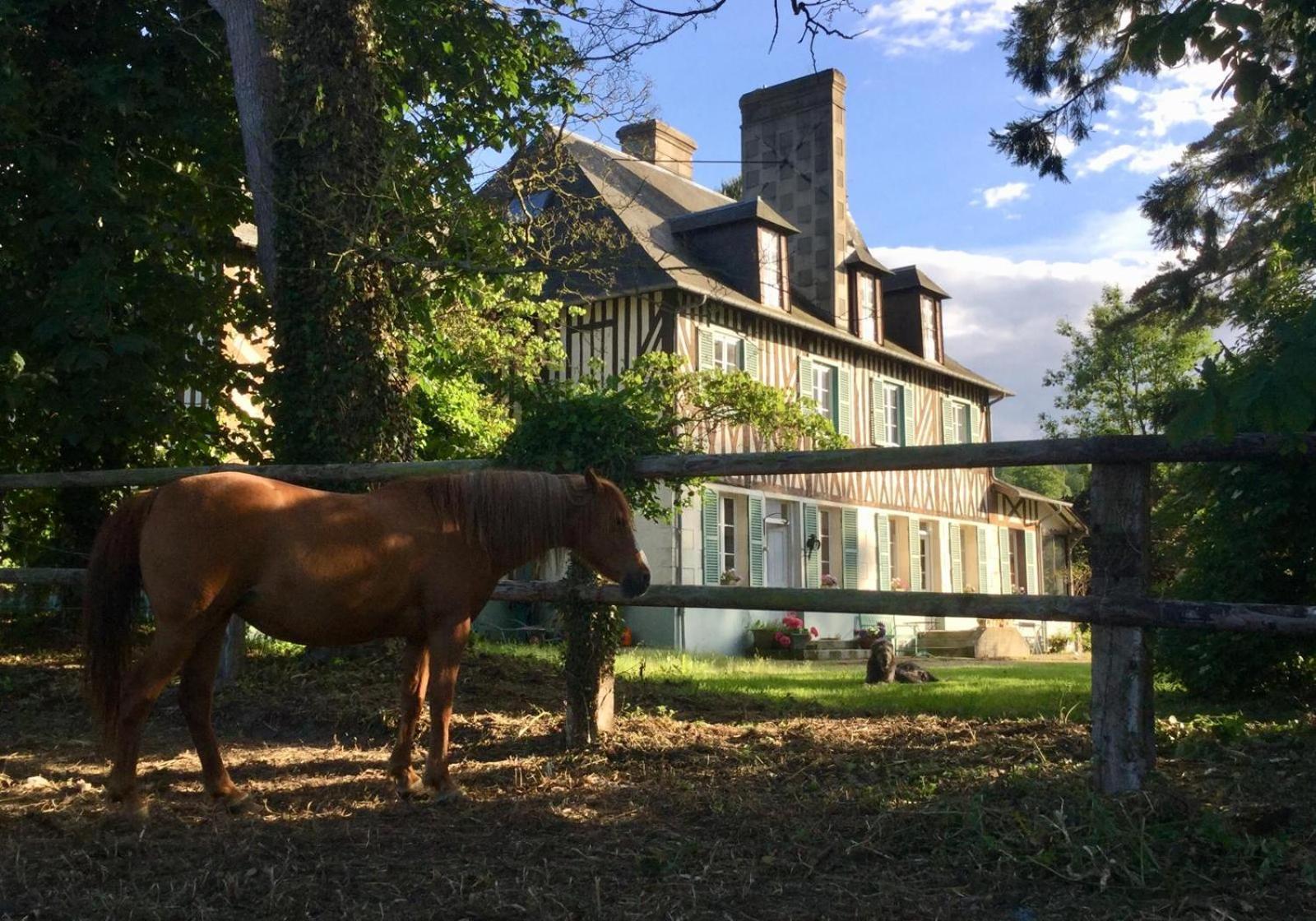 Le Domaine Lieu Bill, Normandie Блонвил-сюр-Мер Екстериор снимка